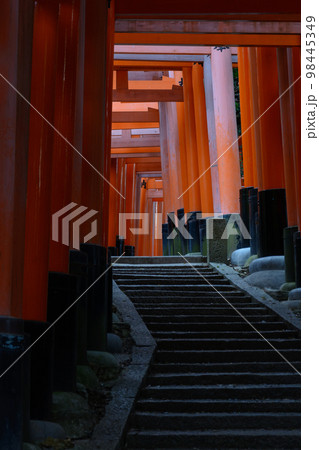 日没直後の暗くなり始めた伏見稲荷神社の鳥居 98445349