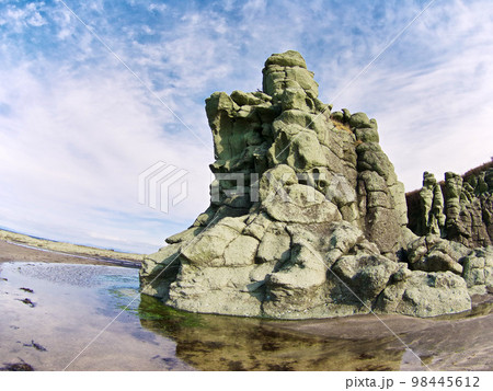 千畳敷海岸(青森県深浦町) 千畳敷海岸(青森県深浦町) 98445612