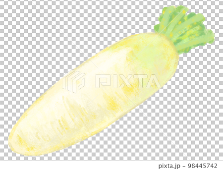 Japanese radish 98445742