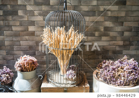 Dried Calluna flower on flower pot covering by cage by brick wall 98446429