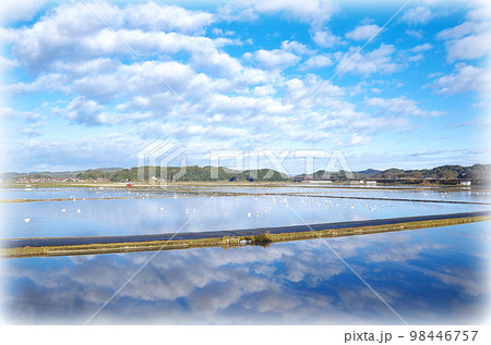 白鳥の塒の冬水田んぼの水面に空が写っている構図 白鳥の塒の冬水田んぼの水面に空が写っている構図 98446757