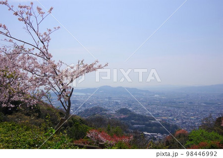 徳島県 桜の咲く眉山から日峰山・小松島市方面を望む 徳島県 桜の咲く眉山から日峰山・小松島市方面を望む 98446992