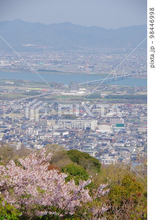 徳島県　桜の咲く眉山から藍住町・四国三郎橋方面を望む 98446998