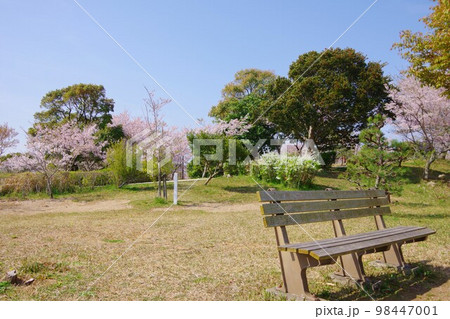 徳島市　桜の咲く眉山公園 98447001