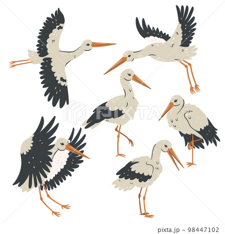 Set of storks isolated on white background. Vector graphics. 98447102