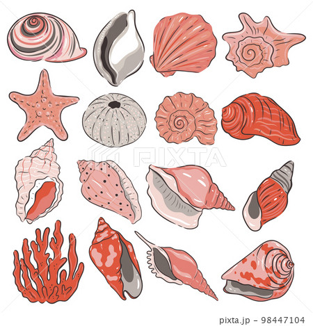 Set of sea shells isolated on white background. Vector graphics. 98447104