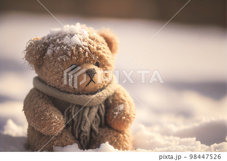 brown and white teddy bear