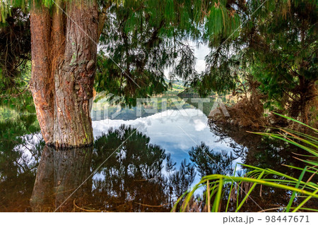 mountain lake in beautiful Colombian nature 98447671