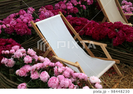 Flowers in the garden 98448230