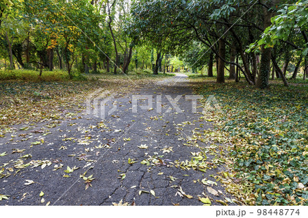 Autumn landscape Autumn landscape 98448774