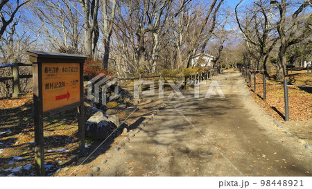 小諸城址懐古園8 98448921