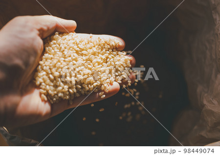 玄米 玄米 98449074