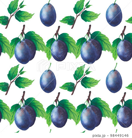 Pattern of watercolor plum tree branches with green leaves and fruits 98449146