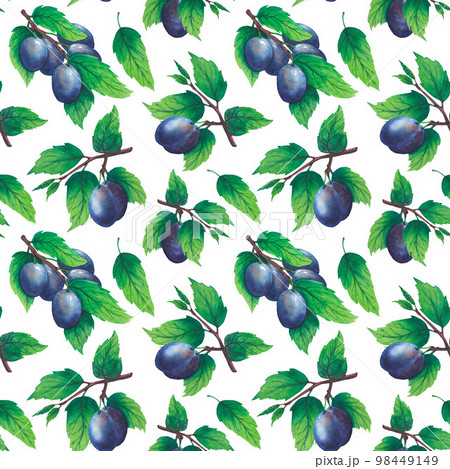 Pattern of watercolor plum tree branches with green leaves and fruits Pattern of watercolor plum tree branches with green leaves and fruits 98449149