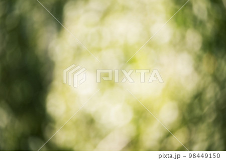 Defocused green abstract background. Defocus light raindrops on green leaves. Defocused green abstract background. Defocus light raindrops on green leaves. 98449150