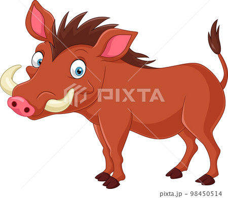 Cartoon warthog on white background 98450514