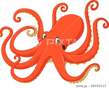 Cartoon octopus on white background 98450515