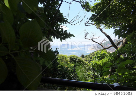 稲村ヶ崎から見た江ノ島 98451002