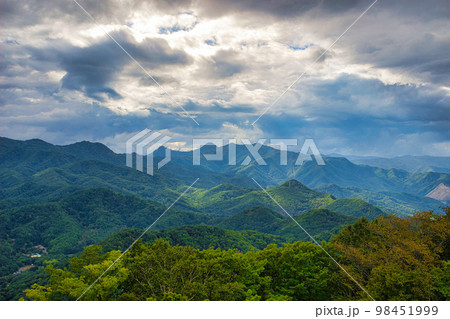 藻岩山からの景色 98451999