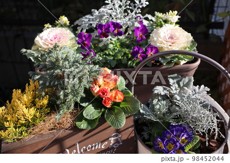 花の寄せ植え&花の寄せ鉢 花の寄せ植え&花の寄せ鉢 98452044