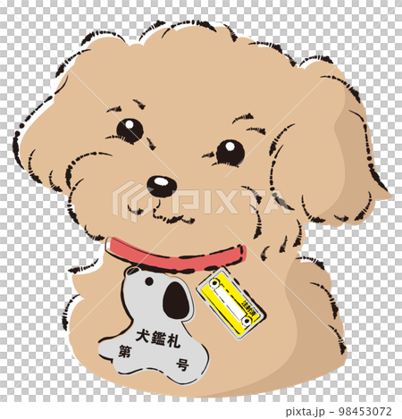 Illustration of a dog with a dog license and a rabies vaccination vote attached to its collar Illustration of a dog with a dog license and a rabies vaccination vote attached to its collar 98453072