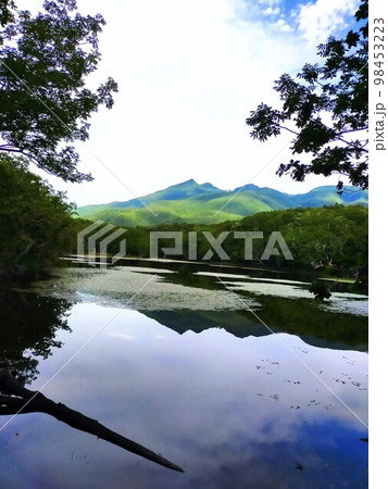 知床五湖の四湖水面と絶景 知床五湖の四湖水面と絶景 98453223