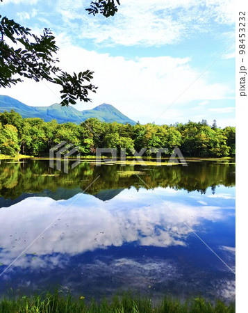 知床五湖の三湖水面と絶景 知床五湖の三湖水面と絶景 98453232