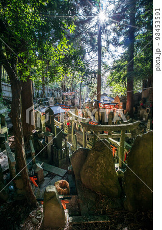 京都 鳥居の密集した伏見稲荷大社の神秘的な情景 98453591