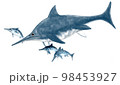 ステノプテリギウス　イルカ型魚竜　白背景 98453927