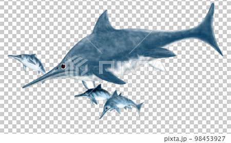 Stenopterygius dolphin-shaped ichthyosaur white background 98453927
