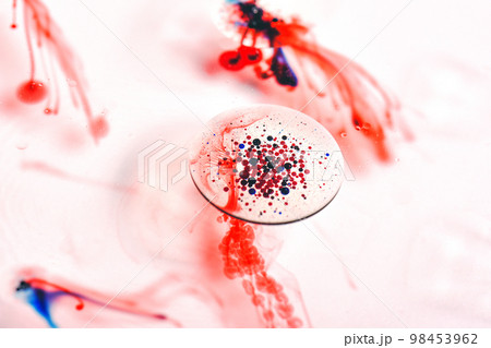 Blood cell smear under microscope for vaccine research, Bacterias and micro organisms Blood cell smear under microscope for vaccine research, Bacterias and micro organisms 98453962