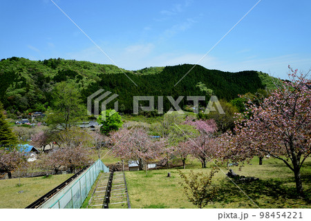 やすらぎの里公園 2022-4-23 #53 やすらぎの里公園 2022-4-23 #53 98454221