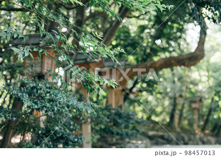 愛知県名古屋市　氷上姉子神社 98457013