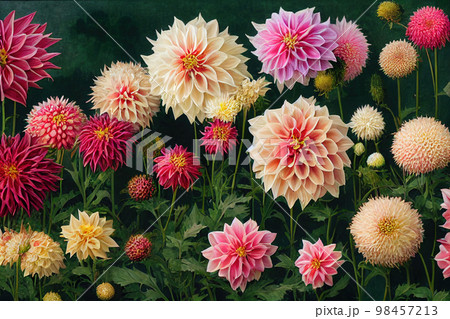 Dahlia flower banquet beautiful spectacular flower arrangement background 98457213