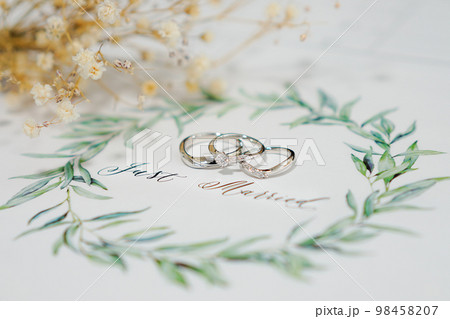 入籍報告 入籍報告 98458207