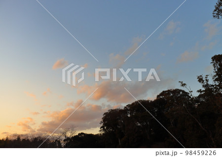 夕方の空 98459226