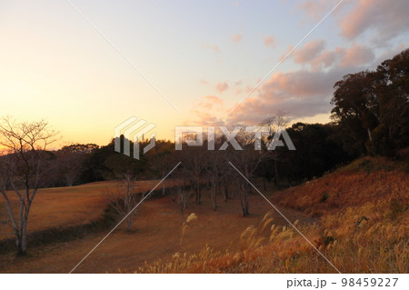 夕景　公園 98459227