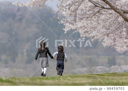 桜の咲く遊歩道を歩く入学入園の姉と弟の後ろ姿 98459701