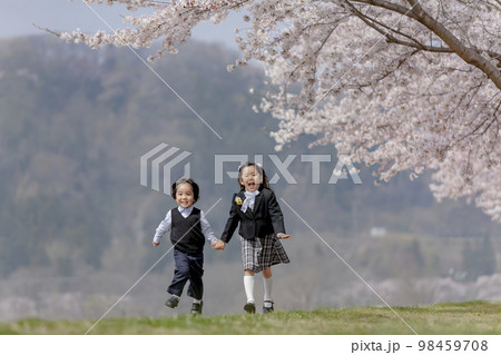 桜の咲く遊歩道を歩く入学入園の姉弟 98459708