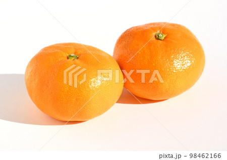 みかん（西浦みかん・青島） 98462166