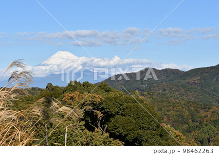 青空と冠雪した富士山 98462263