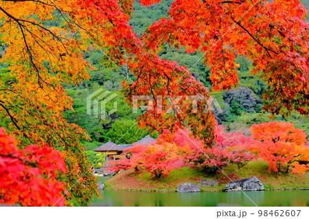 栗林公園 栗林公園 98462607