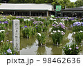 太宰府菖蒲園の菖蒲 98462636