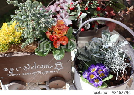 花の寄せ植え＆花の寄せ鉢 98462790