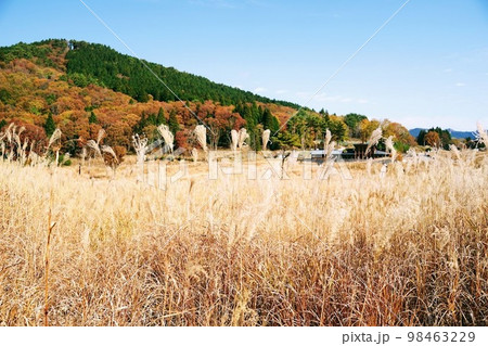 砥峰高原 砥峰高原 98463229