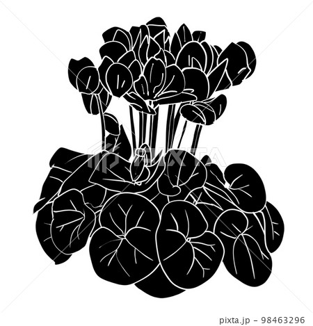 シクラメンのおしゃれなモノクロイラスト素材 98463296