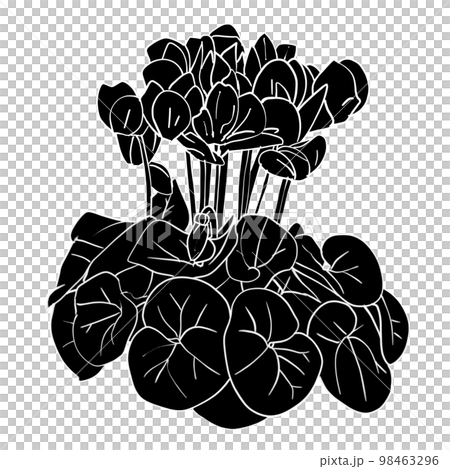 仙客來的時尚單色插畫素材 98463296