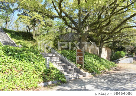 手向山公園 98464086