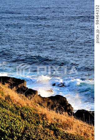 三浦半島　城ヶ島海岸の夕景 98464352
