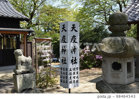 冨野天疫神社 98464543
